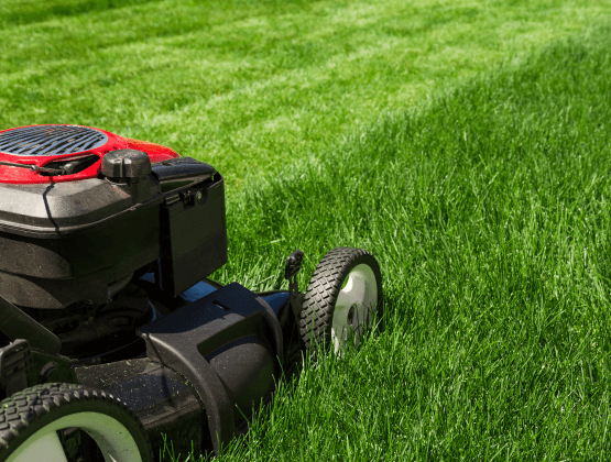 1-grass-cutting-leeds-and-headingley