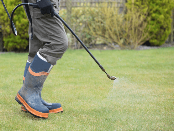 3-weed-killing-weed-control-headingley-leeds