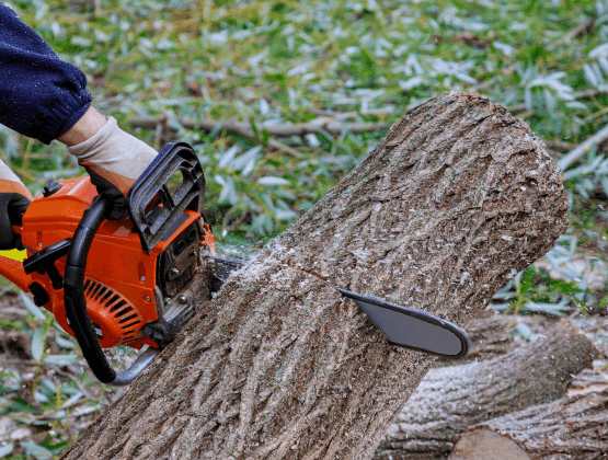 5-tree-cutting-headingley-leeds